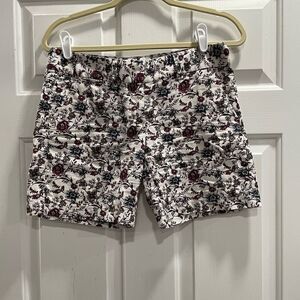 Ann Taylor Loft women’s shorts